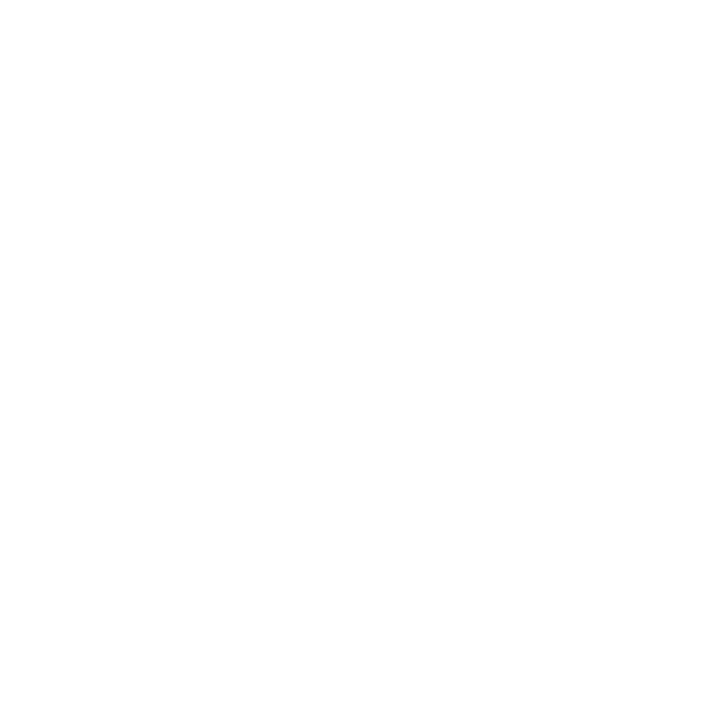 ASI EVEREST logo